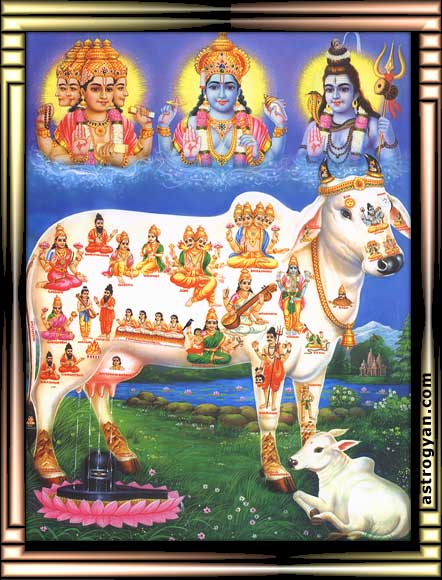 Gau Mata