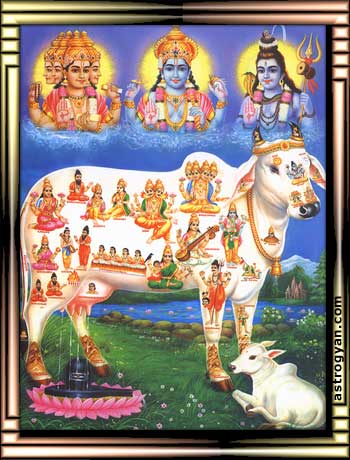 Gau Mata