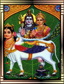 Goddess Parvathi